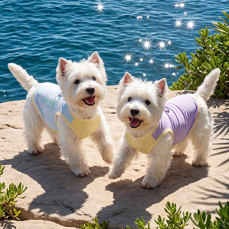 Mascotas primavera y verano chaleco de contraste reflectante tracción helado chaleco frío ropa de perro pequeño y mediano que osos image 1