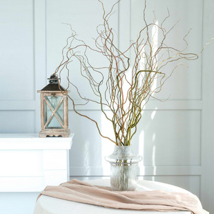 �ɘ�֦��֧������Ȼ�ɻ�Ԍ�ŶU�����޲廨�b[�����P���