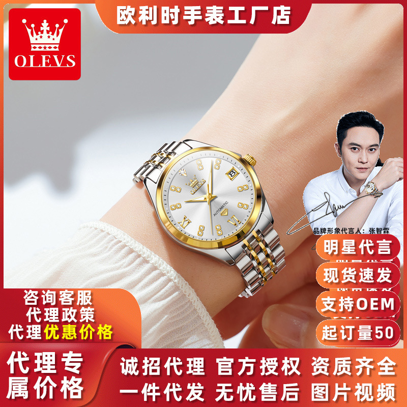 Oulisi Brand Watch, Fully Automatic Mechanical Watch, Simple High-End Watch, Fashionable Dial, Waterproof for Women, Suitable for Work