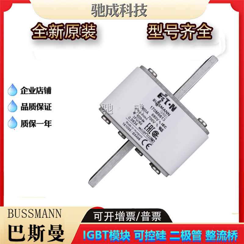 巴斯曼170M6613 170M6614 170M6615全新熔断器品牌直销欢迎咨询
