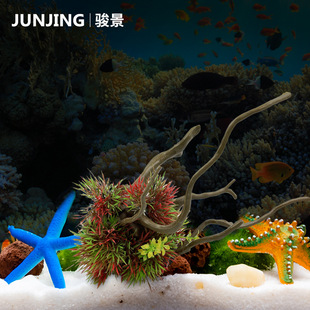 �~���쾰��ɽ�b�ˮ����Ʒ���������lˮ���������b[��