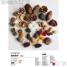 �����ľƬ��diy�ɻ����Ϲ�������̫�������ֹ�ֲ��˱��ɹ����