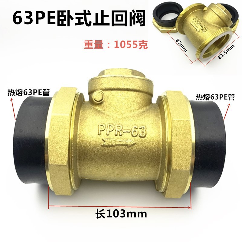 63PE卧式止回阀.jpg