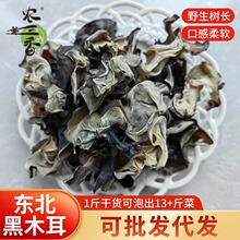 东北黑木耳批发无根无增重散装无干燥机高泡发