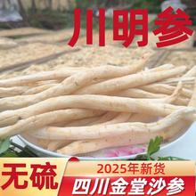 四川沙参产地直销中药材正品川明参炖汤礼盒无硫沙参玉竹麦冬汤