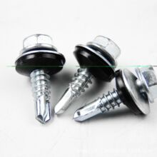 �ߏ�����β5̖β ���䓷��w�|Ƭ �ͺω|Ƭ�������β�ݽz