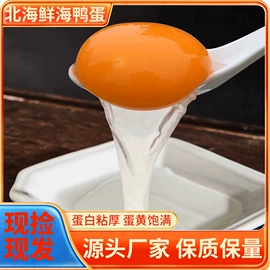 咸蛋类;鱿鱼零食;调味酱