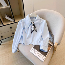 ���ĬF؛�n����ˇɭϵ�n���|���T�L��Polo�I���ſ��r���䲨�c�z��