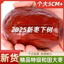 ���l2025��؛�½��خa����󗗾�Ʒ�E���ɹ���С�����ʳ