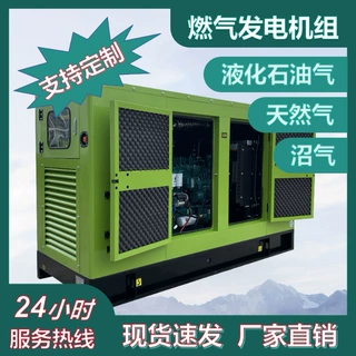 康明斯技术200KW沼气发动机/发电机组工程配套新能源大功率生物质