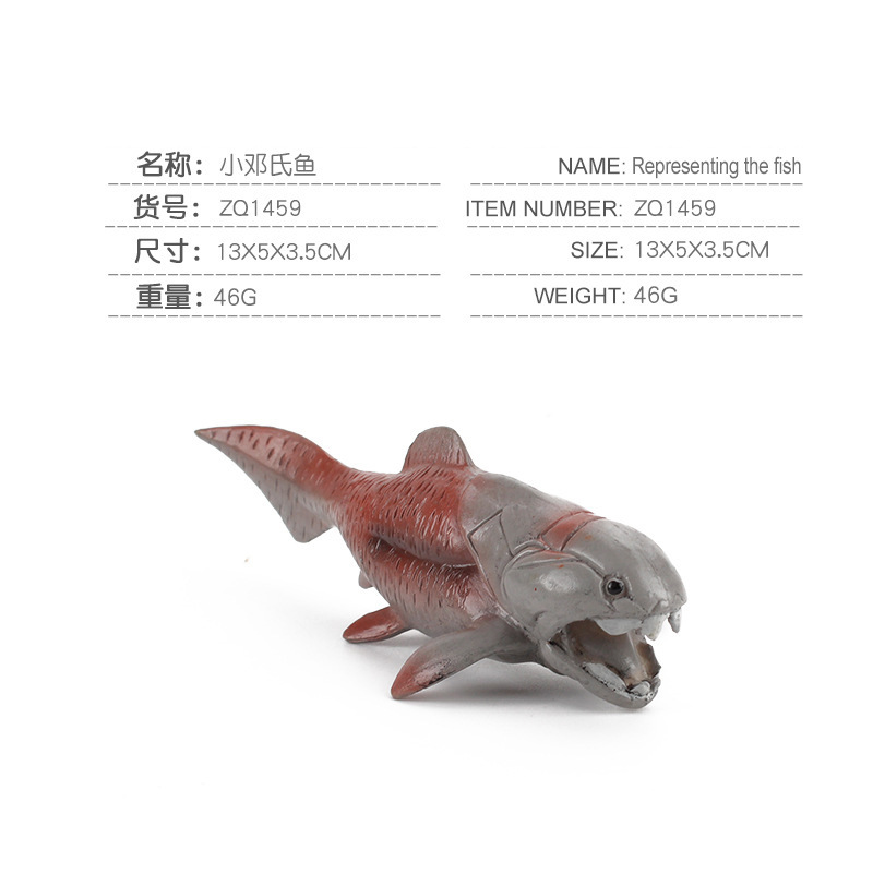 Simulación océano antiguo modelo biológico pescado de Deng loro tornillo crisantemo piedra decoración juguete transfronterizo Amazon