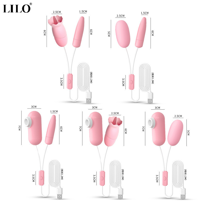 Laile Flirting Eggs A/B/C/D/E Sakura Powder USB Bagged Women's G-spot Fun Jumping Eggs Wholesale