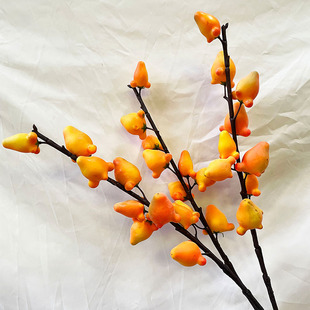 ������ĭˮ�� �S��� ���긣Ͱ����Ͱ ����O��  ���ͬ�ù�֦