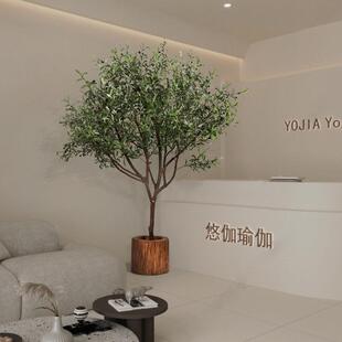 ����Gֲ���͸߶��ϙ���辰���b�T���b߼�������ֲ���������