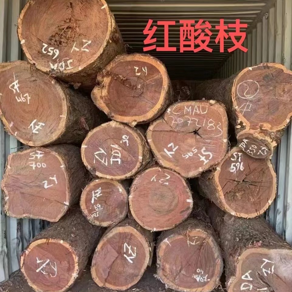 2024-06-21 16:09:16.jpg