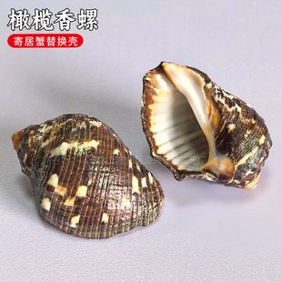 �ϙ�������Ȼ�Gؐ�����ݼľ�з��Q���Ú�ˮ���b�Ʒ�~���쾰