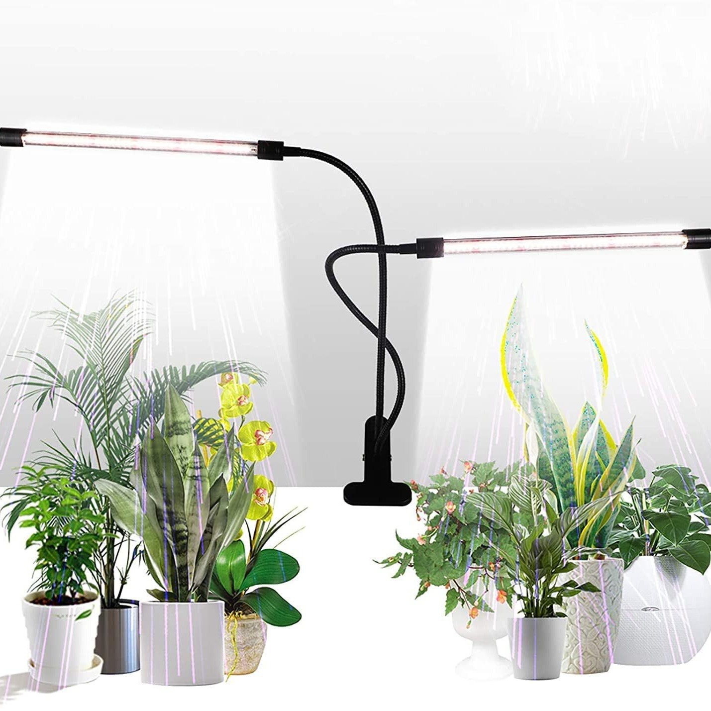 2024-03-13 11:56:58.jpg