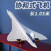 �羳�����ָ�10318Э�ͺŷɻ�����ͻ�ƴװ��ľ���������������