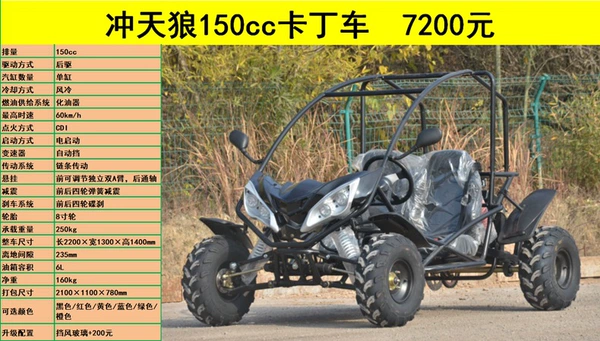 Medium sized 150cc kart