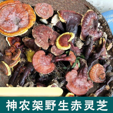 Ұ`֥r֥ܳȻ`֥Ƭ`֥ݾƸ`֥l