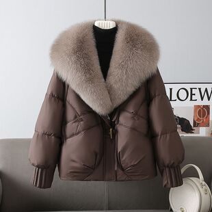 �����¿�2025�߼��М�]��С���Ӛ��|��ů�I���е����לp�g��
