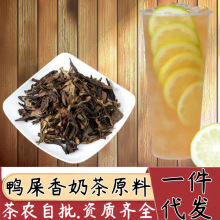 ݆Θ ɢbʺ̲茣ôlPˆ΅ 蹣ʺ㙎ʲԭ