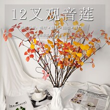 �����^��ɏ�~�Gֲ�b��ٸ�֦  �Ҿ�ܛ�b�b�ˇ  ��c�쾰