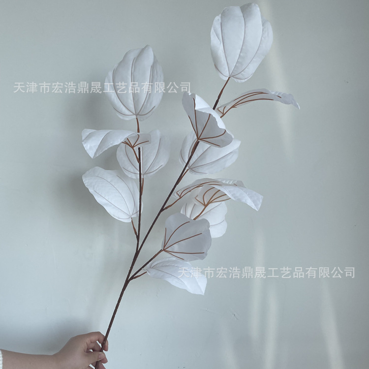 微信图片_2022050215214010_副本