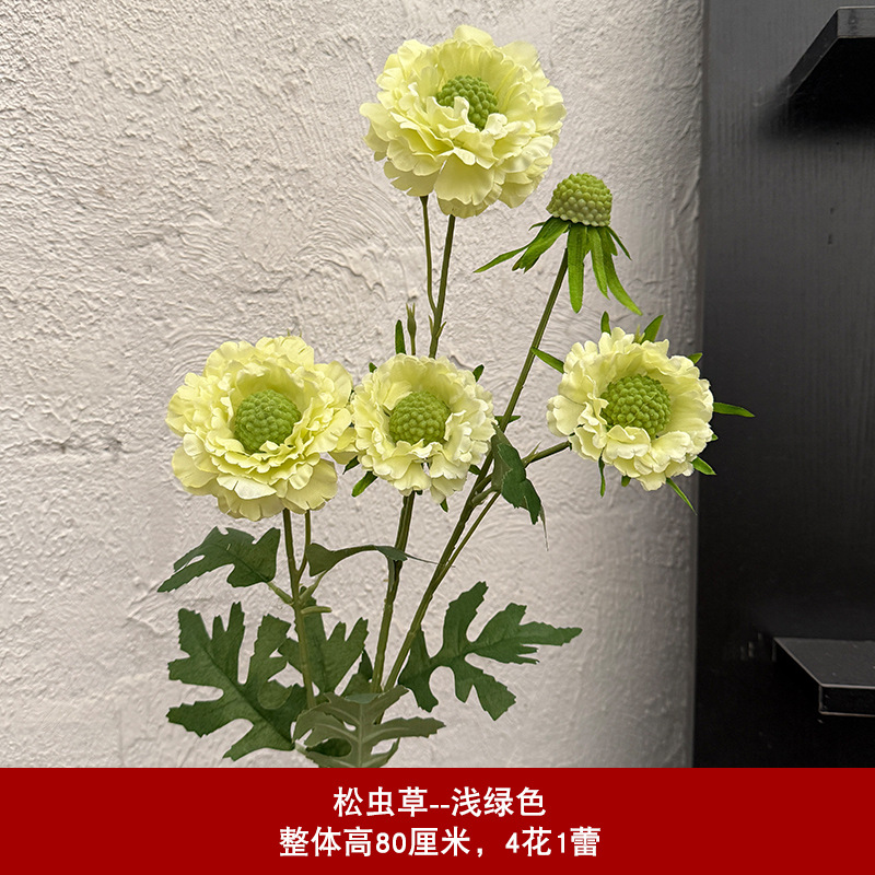 5송이 송이버섯 – 녹색