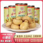 福建 Q3蘑菇罐头400g 整菇食用菌蔬菜罐头奶油蘑菇汤煲汤烹饪食材