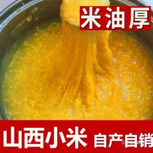 2025С���SС��ɽ��С�������SС����С�S������С���s�Z��֬5��