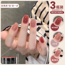 �W�tɫ�ļ���͸��ɫָ�����z2026���¿������@����ɫ���bȫ������