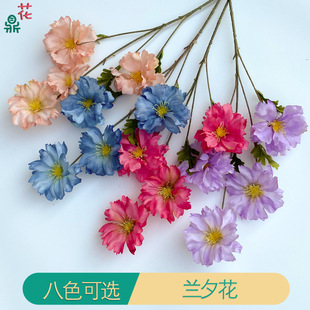 �¿�4�^�mϦ�� ���´�ɫܽ�ػ� �nʽΨ����c��Y����̨�쾰����