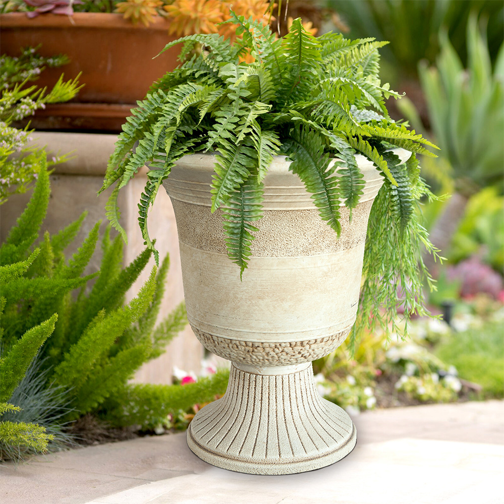 2021_6_KLU170204首图