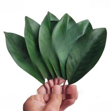 m~ 廨~zƬ 羳Y~Ƭ ^z