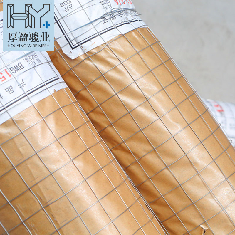 镀锌铁丝网钢丝网小孔电焊网鸡鸭鹅围栏网阳台防护网抹墙防裂筛网