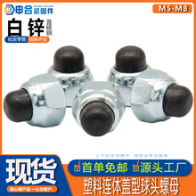 �����w����ĸ �B�w�w����ñ �w�����^��ĸ �b��wĸ�w����ĸM5-M8