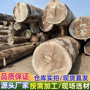 ������ľ ��ԭľ��� ��ľ ������ľ�� �G��ɣ Ҏ��ӹ� �t���}��