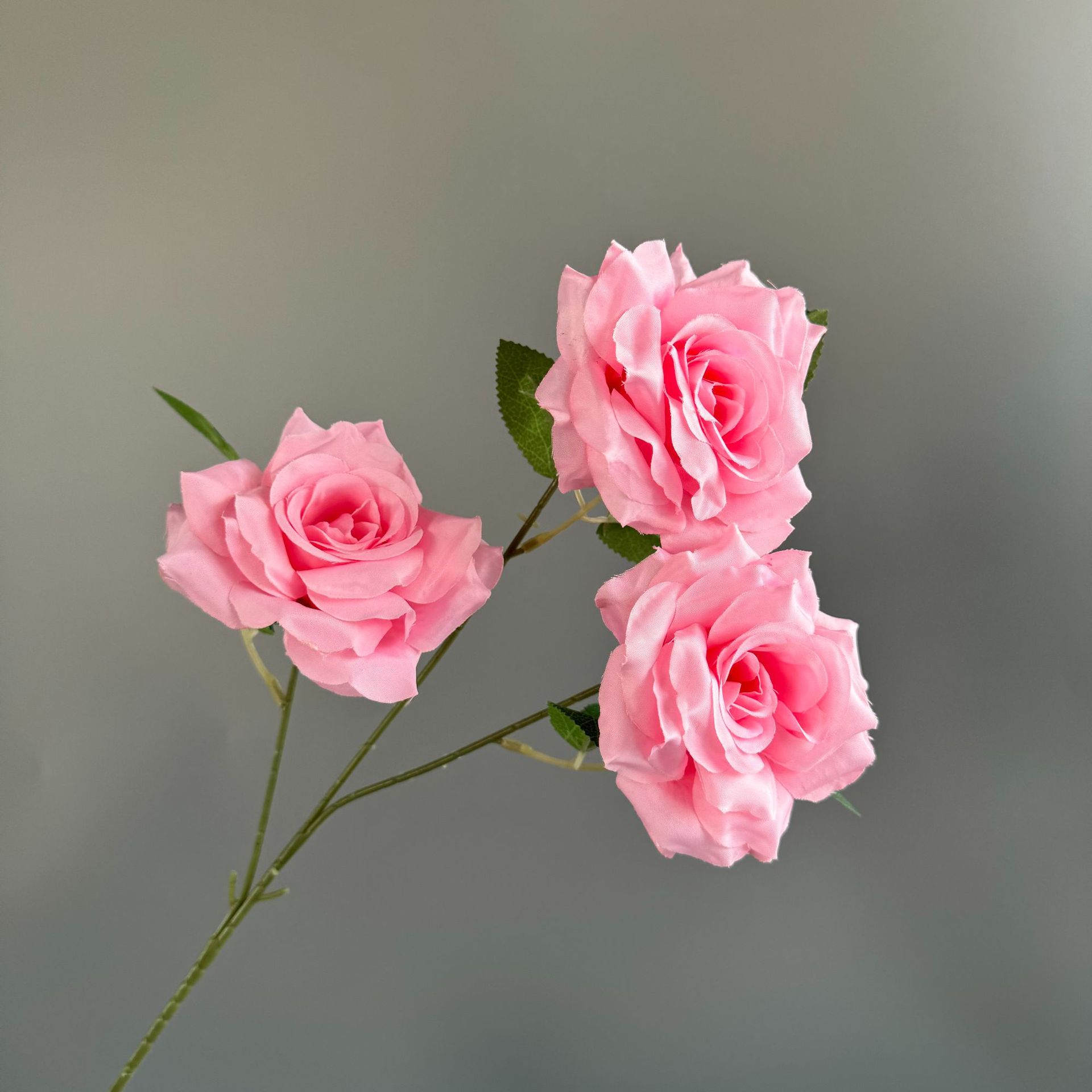 진한 분홍색(잎 없음)