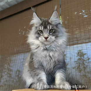 ���N���_����؈����w���̟��Ҿ���؈������Ę�沼ż؈С؈���؈
