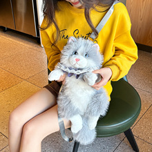 �¿��nϵë�q��ͨ����؈�䱳����Ů����鱧�Y��W�tŮ�����p���