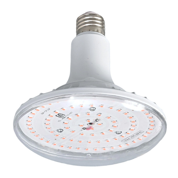 LED fill light