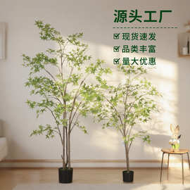 新款仿真绿植仿真枫叶树网红绿枫树酒店商场绿植假树室内外装饰