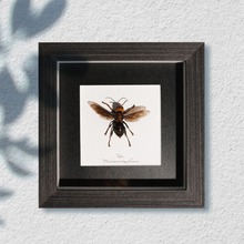 ^Ȼx˱xչʾ[b͌WͯնY