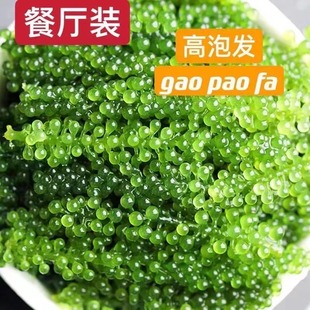 ���ݰl�͏d���ù����}�n������500g��ʳ�L�۲˺���˺��ˉ�˾�G��