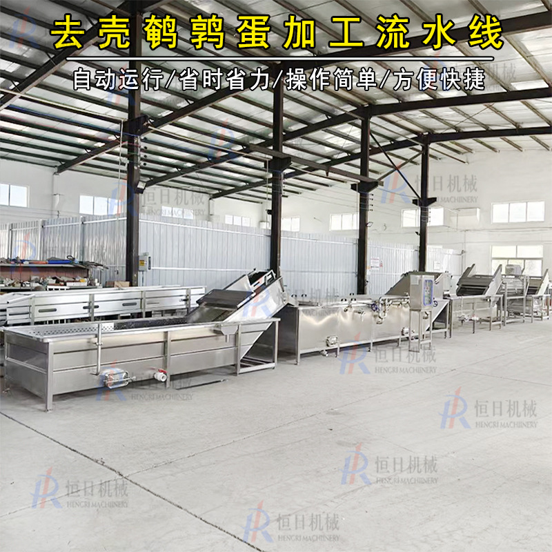 鹌鹑蛋清洗蒸煮冷却流水线设备全自动鹌鹑蛋预煮剥壳机去壳鹌鹑蛋