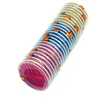 846С̖ᘺ� С� �p�·�� �ֹ�� ����ᘺ� �p�x���� �Ԍ�ٛ��