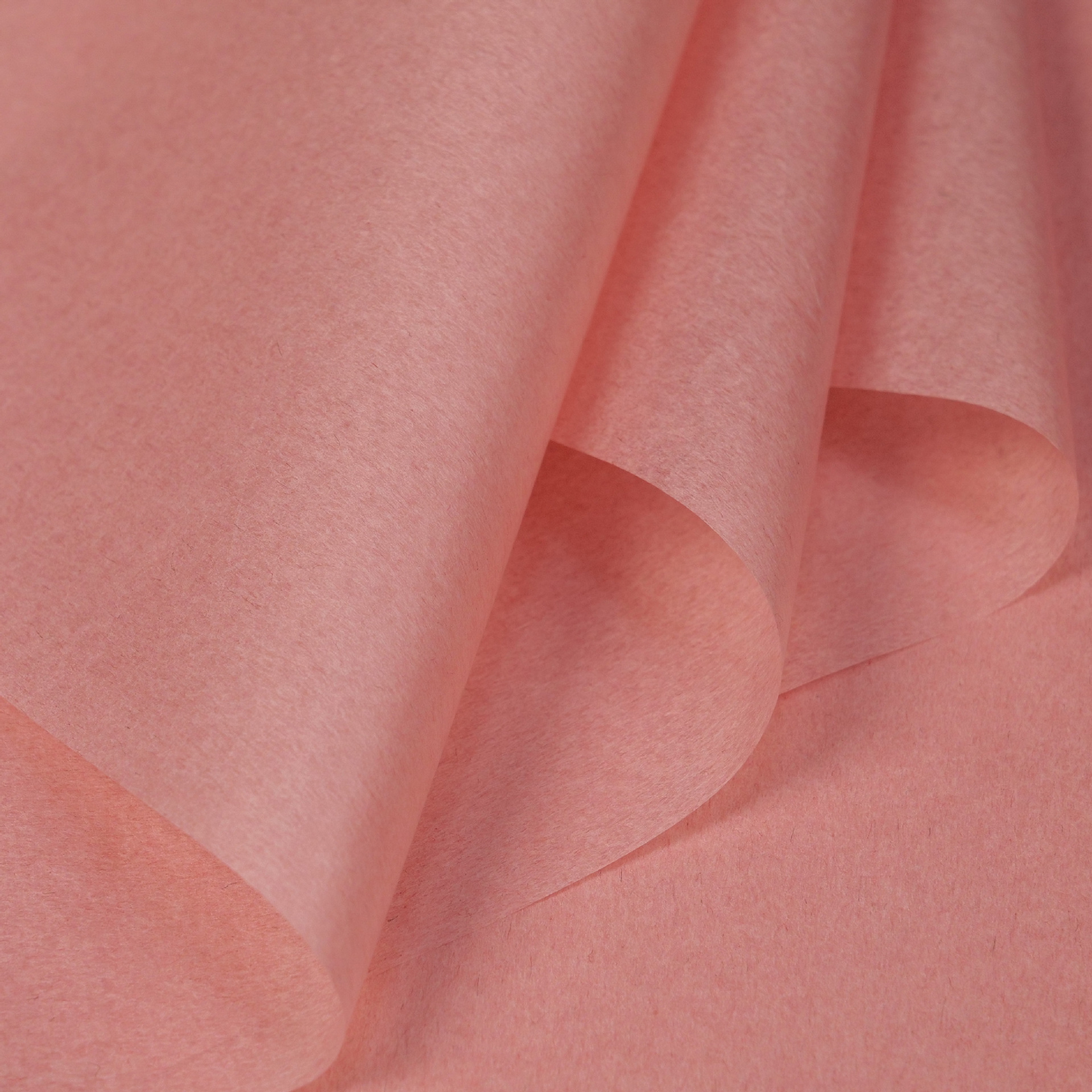 솔리드 컬러 누드 핑크 36 사진