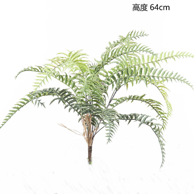 Helecho de alta imitación