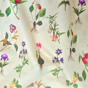 60֧ؕ��ӡ�� �⻬��ܛ Ů�b�r�b���� ���սz�� �ͷ�����ɣ�÷�